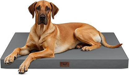 Outdoor Extra Large Dog Bed, Jumbo Waterproof Dog Bed by TailStories