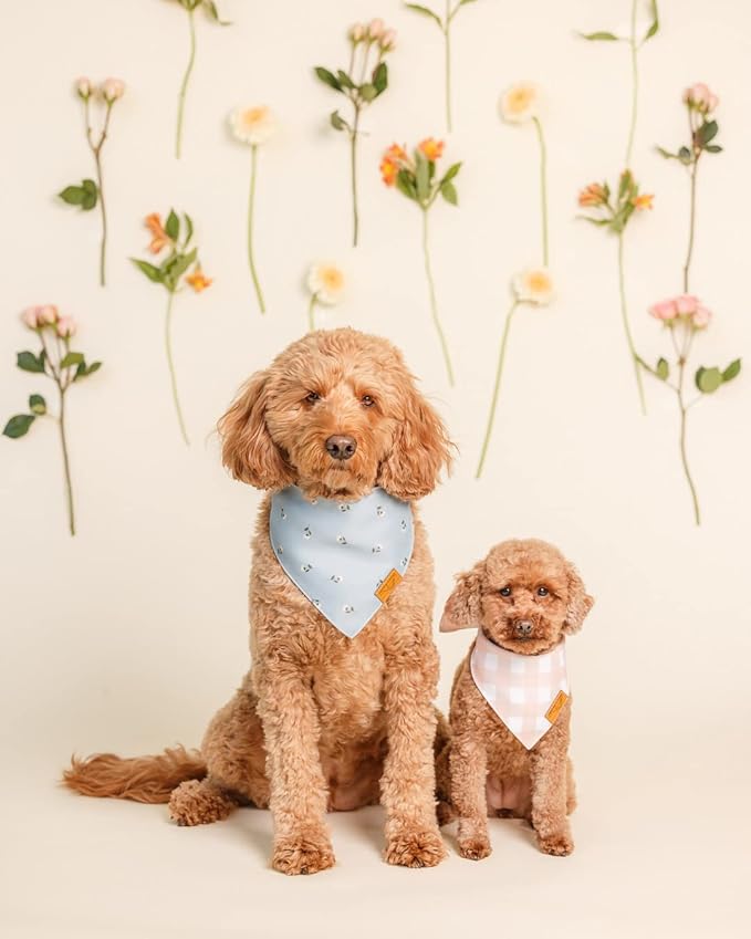 Remy+Roo Large Spring Dog Bandanas - Image 2