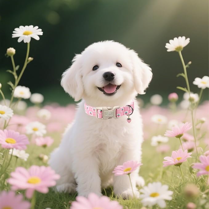 Spring Dog Collar, UP URARA PUP Strawberry Collars in Pink Checkered Adjustable - Image 5