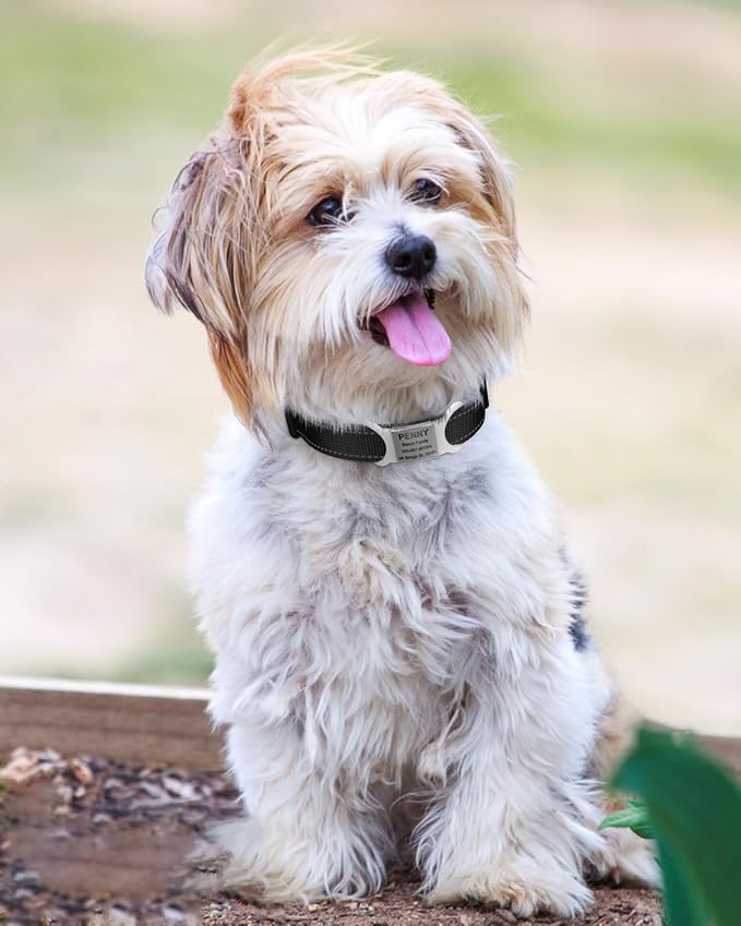 TagME Reflective Nylon Dog Collars, Adjustable Classic Pet Collar - Image 2