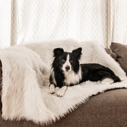 PupProtector Waterproof Throw Blanket - Image 2