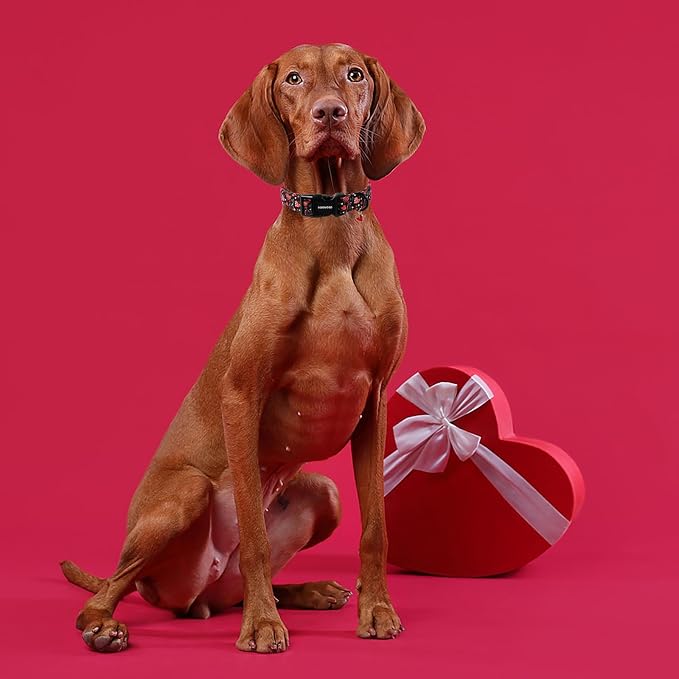 DOGWONG Valentine's Day Dog Collar - Image 5