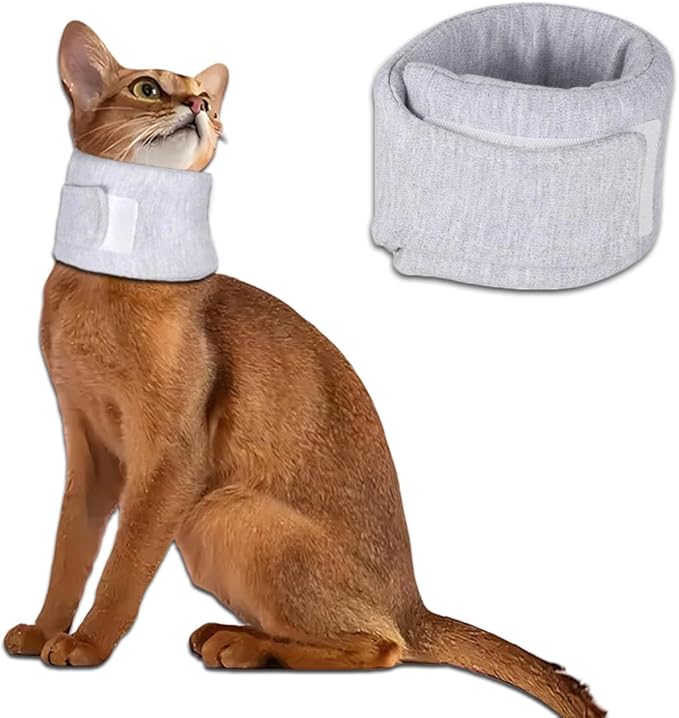 Cat Cone Collar for Pet with Spinal IVDD Issues After Surgery Recovery by DHinkyoung
