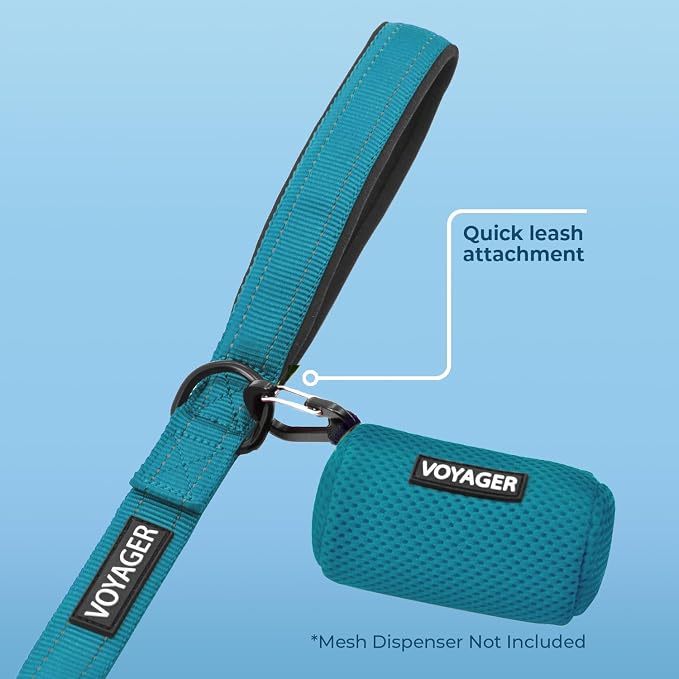 Best Pet Supplies Voyager Reflective Dog Leash or Collar - Image 3