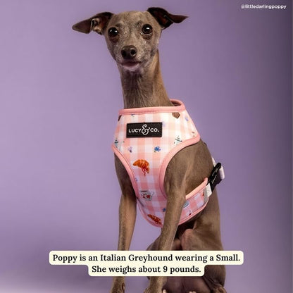 Lucy & Co. Sipping Slowly Reversible Dog Harness, Adjustable Comfort Fit - Image 2
