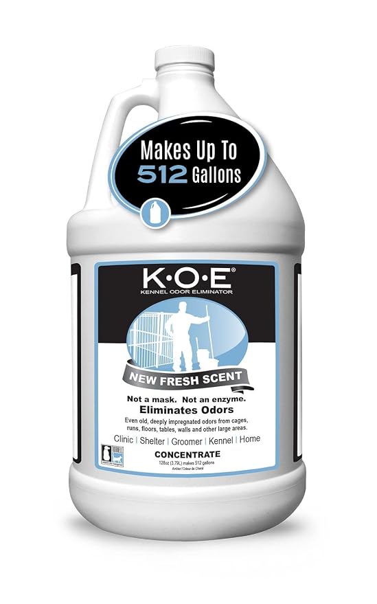 Odorcide K.O.E. Fresh Scent Odor Eliminator Concentrate – by Odorcide