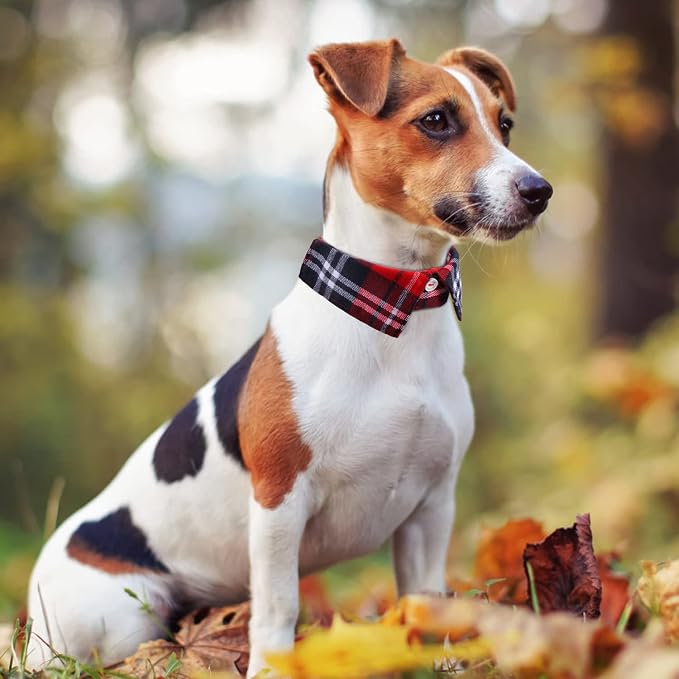 Faleela Cotton Plaid Shirt Style Dog Collar Soft Cute, Boy Dog Collar - Image 4