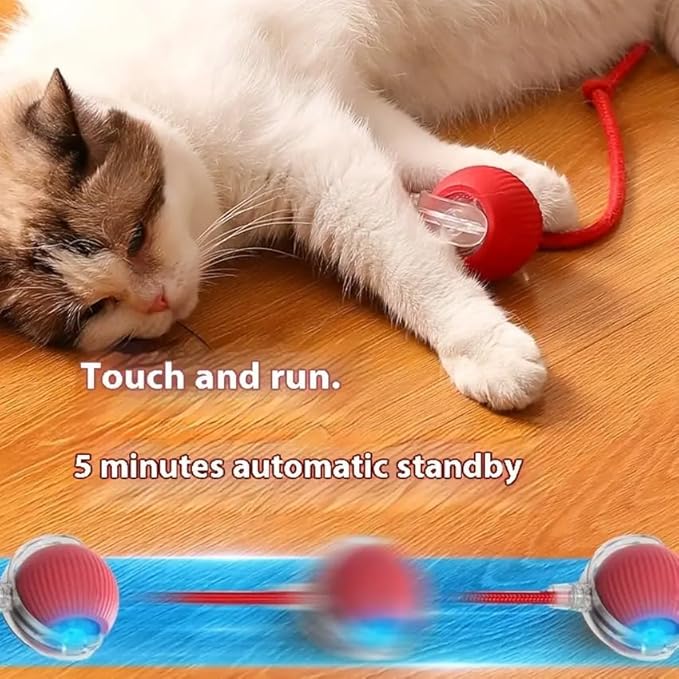 Cat Toy Ball with Tail Rope, Smart Rolling Ball, LED Light, Electric - Image 3