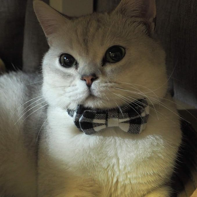 Cat Collar Breakaway with Bell and Bow Tie, Plaid Design Adjustable Safety - Image 3
