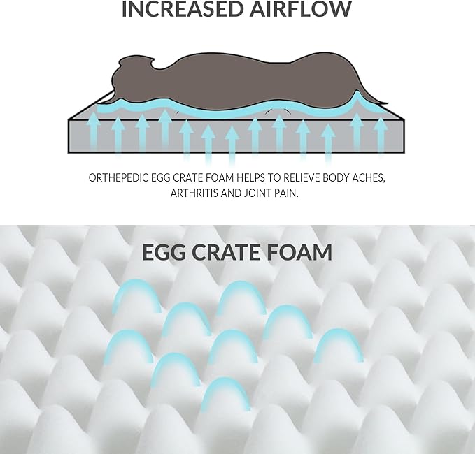Patas Lague Orthopedic Jumbo Dog Bed - Image 4
