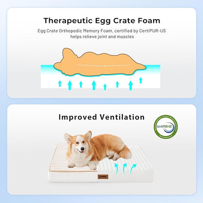 XL Dog Crate Bed for Extra Large Dogs - Image 5
