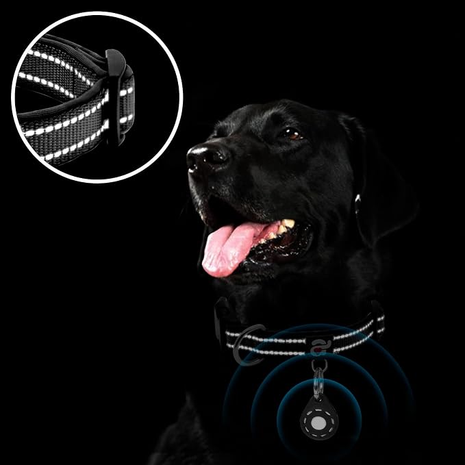 azuza Reflective Dog Collar - Image 5