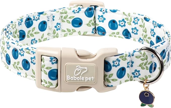 Spring/Summer Dog Collar for Small Dogs by Babolepet