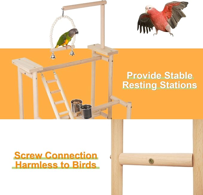 Pet Parrot Playstand Parrots Bird Playground Bird Play Stand Wood Perch Gym - Image 3