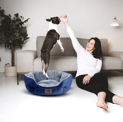 Asvin Medium Dog Bed for Medium Dogs, Large Cat Beds for Indoor Cats, Pet Bed - Image 5