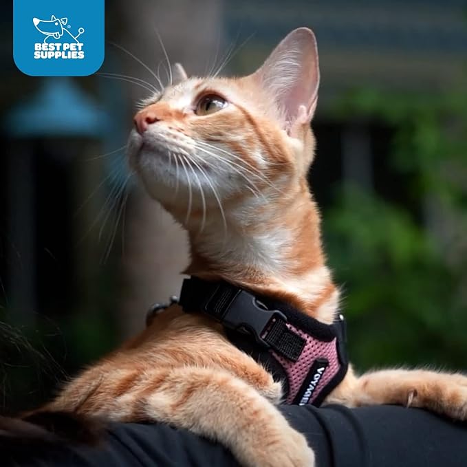 Voyager Step-in Pet Harness - Image 8