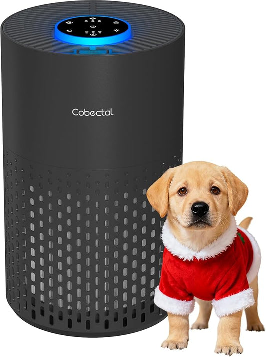 Air Purifiers for Bedroom Home, Cobectal Air Cleaner by cobectalsupplier
