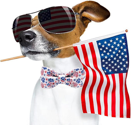 Lionheart Glory American Flag Dog Collar - Image 6