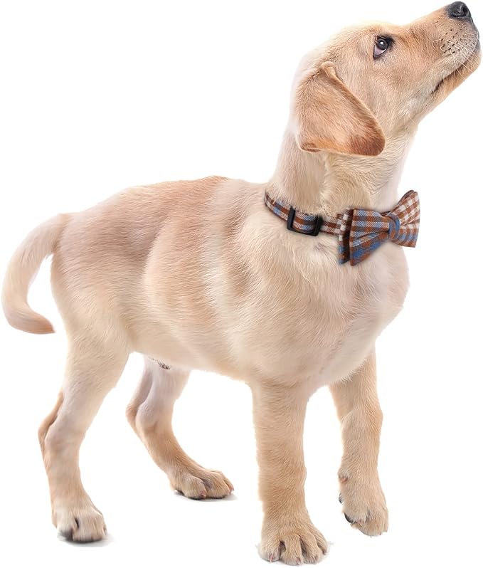 Faleela Soft &Comfy Bowtie Dog Collar, Detachable and Adjustable Bow Tie Collar - Image 5