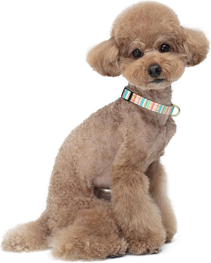Reflective Dog Collar, Cute Dog Collar - Image 2