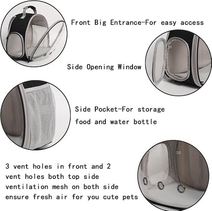 Guinea Pig Backpack Carrier, Reptile Outdoor Used, Bearded Dragon Carrier - Image 3