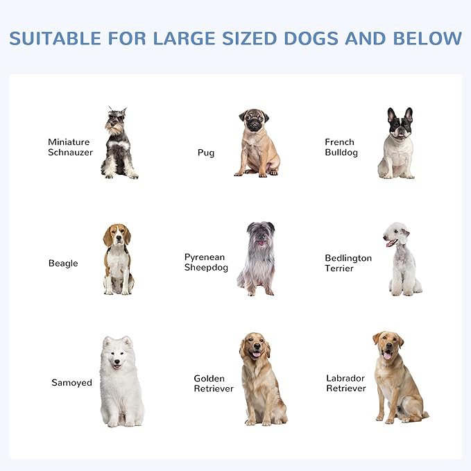 PawHut Outdoor Dog Kennel, Heavy Duty Dog Run Outdoor Fence - Image 6