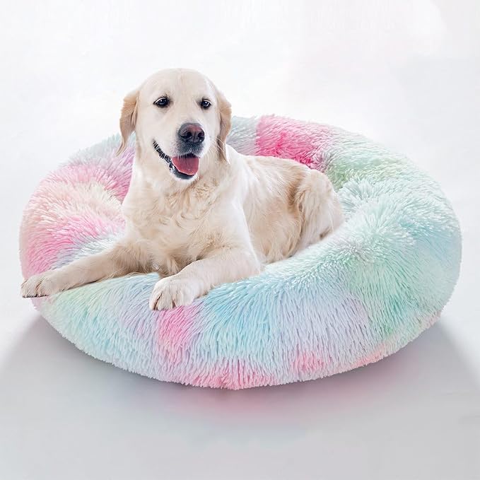 Cat Beds for Indoor Cats by Unknown