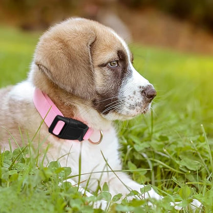Pink Dog Collar Basic Adjustable Dog Collars - Image 2