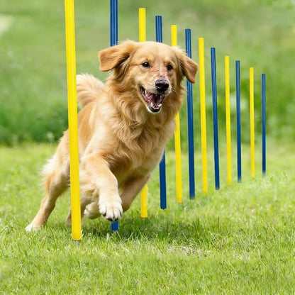 PAWISE Dog Agility Training Equipment, 12 Weave Poles by PAWISE