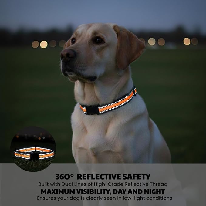 Dog Training Collar Replacement and Shock Collar Strap - Image 4