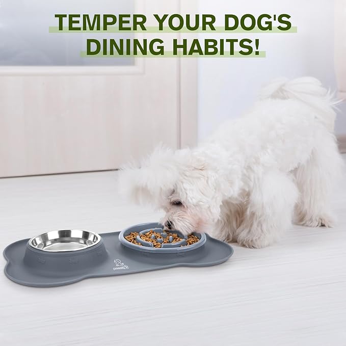 Pecute Slow Feeder Dog Bowls to Slow Down Eating, Dog Bowl Slow Feeder - Image 9