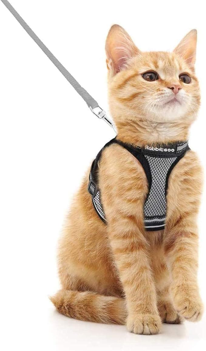 rabbitgoo Cat Harness and Leash Set by rabbitgoo
