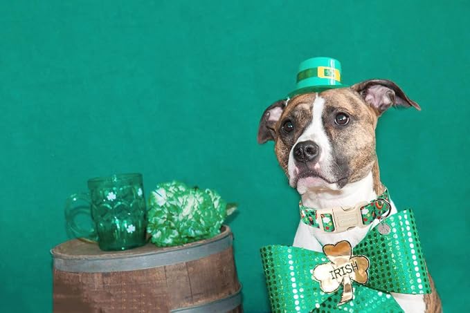 DOGWONG St. Patrick's Day Dog Collar, Lucky Clover Shamrock Green, Soft Durable - Image 4