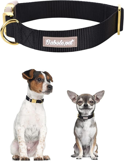 Nylon Dog Collar - Image 2