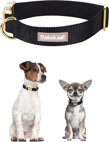 Nylon Dog Collar - Image 2