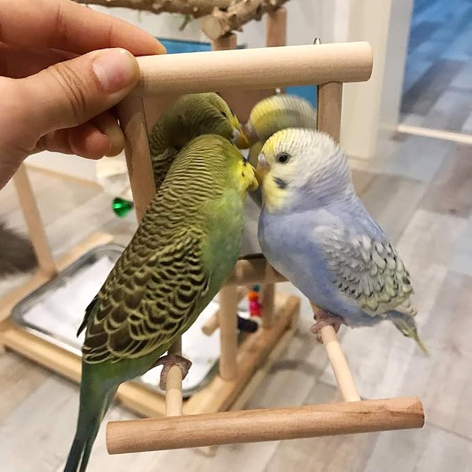 HANZE Bird Mirror Swing with Rattan Ball | Natural Wood Parrot Toy with Metal - Image 8