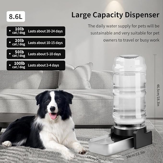 Marchul 2.3 Gallon Dog Water Dispenser, Large Dog Water Dispenser - Image 2