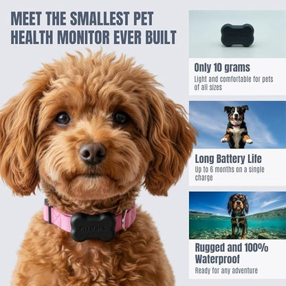 FitBark 2 Dog Activity Monitor | Health & Fitness Tracker - Image 2
