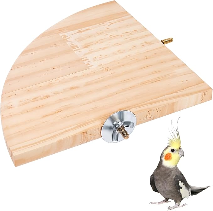 Bird Perch Platform Stand Wooden Parrot Perch Corner 6.7 Inches Fan Shape by Unknown