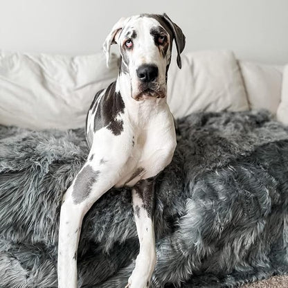 PupProtector Waterproof Throw Blanket - Image 5