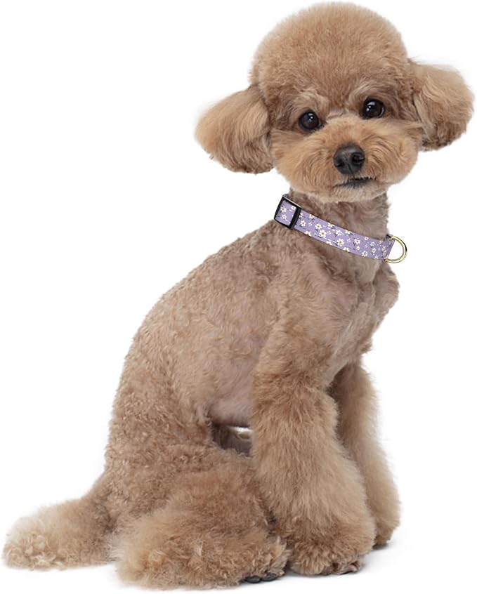 Reflective Dog Collar for Small Dogs, Cute Flower Theme Adjustable Heavy-Duty - Image 2