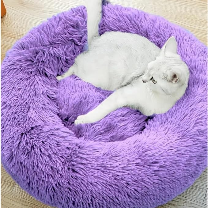Purrfect Cat Beds - Image 2