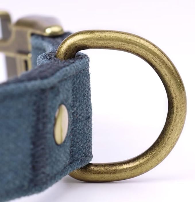 PET ARTIST Dog Collars for Medium Dogs, Soft Padded Premium Nylon Dog Collar - Image 8