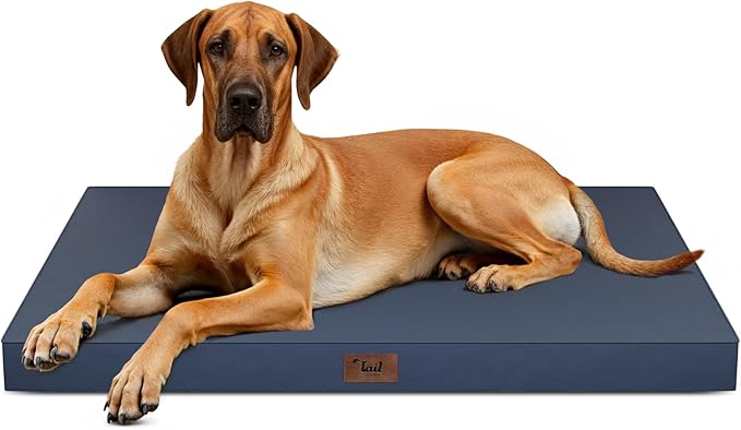 Outdoor Extra Large Dog Bed, Jumbo Waterproof Dog Bed by TailStories