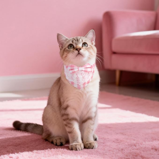 EXPAWLORER Cute Cat Collar Breakaway - Image 6