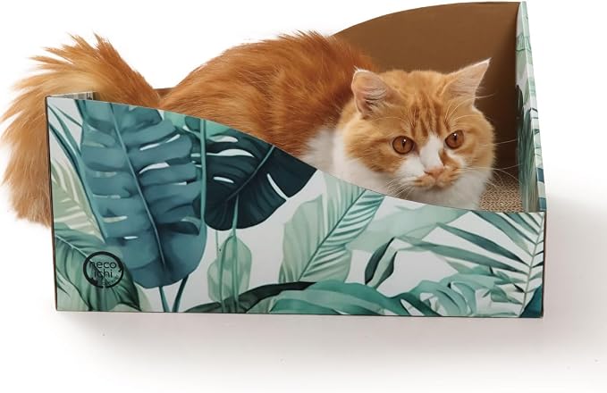 Hideaway Cat Scratcher Box for Indoor Cats by %E7%8C%AB%E5%A3%B1