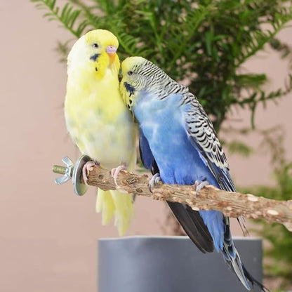 6 PCS Natural Wood Bird Perches Set, Parrot Stand Fork Toys, Hanging - Image 4