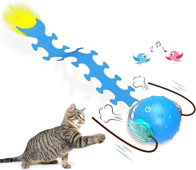 Interactive Cat Toys Ball for Indoor Cats Fast Rolling on Carpet, Chirping & by Giociv