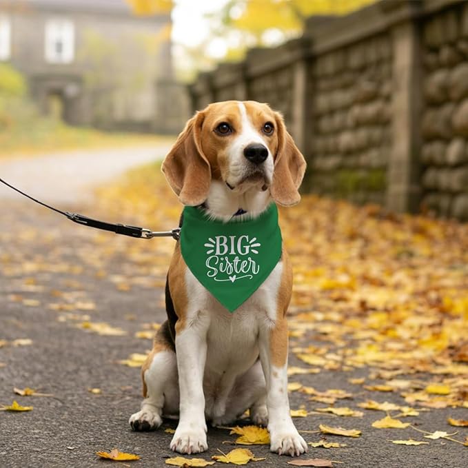 Big Sister Dog Bandana, 25 x 17 Inches, Comfortable, Water Resistant, Geometric - Image 5