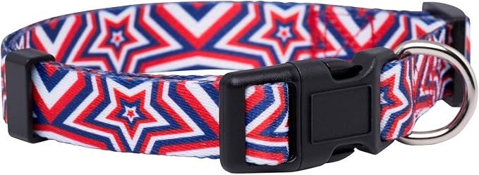 Native Pup American Flag Dog Collar- Red White and Blue- Patriotic Collars by NativePup